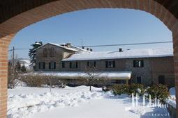 Galeriebild